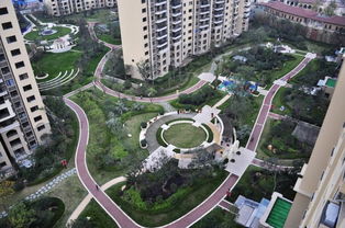 生命系统的动态， 自然的呼吸