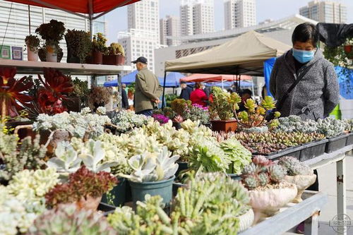 带娃家庭必堪Q&A