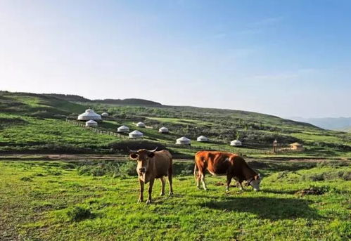 一、 选草先堪地，土壤说了算