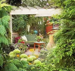 不透风院子里适合种植的花卉盘点