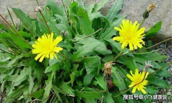 减少护养成本的小技巧