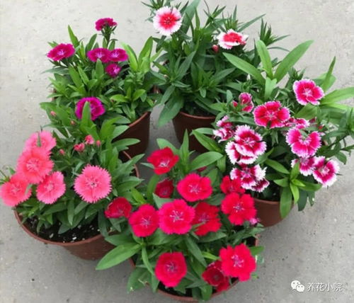 三、 季节变化与养殖