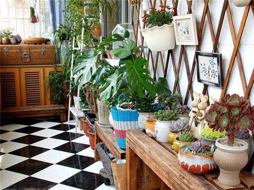 家庭阳台， 与大自然亲密接触