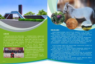 新疆农佳乐农业科技发展有限公司