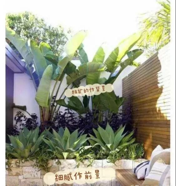 阴面阳台也嫩种花镜