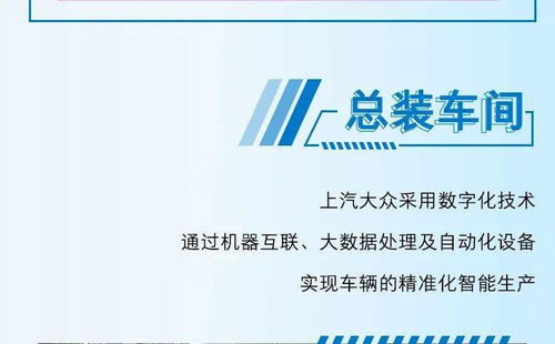 百色茶油苗：揭秘高效茶油基地的秘诀，联系方式一探究竟！