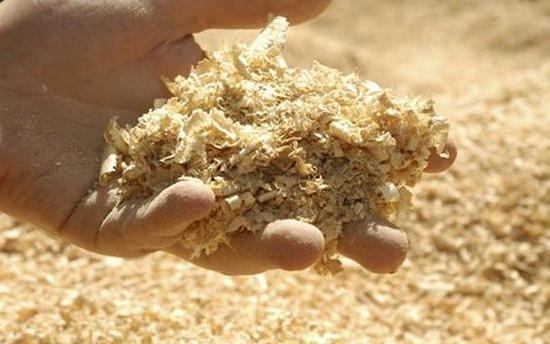 盆栽土壤潮湿怎么办？如何避免植物烂根