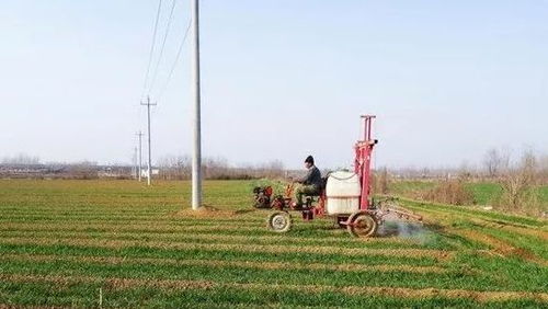 施药环境对间隔时间的影响