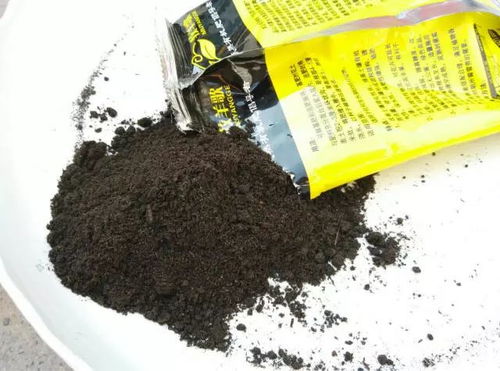 核桃皮：天然肥料，花卉养护新选择！