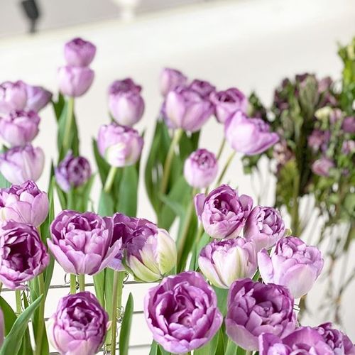 购买渠道与注意事项