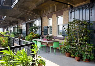 植物规格和冠幅， 价格也跟着动