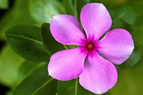 冬季养护小贴士