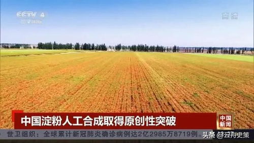 河南省水稻实现一年两熟，产量大幅提升