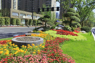 色彩与造型的奇妙组合