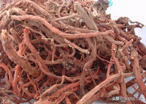 水温失控毁全年的血泪教训