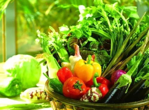 四川秋冬蔬菜大盘点