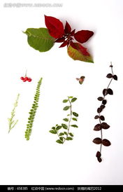 三不要：避免失败的陷阱