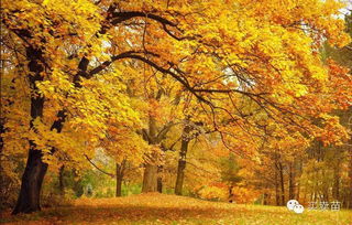 广东秋季的气候条件