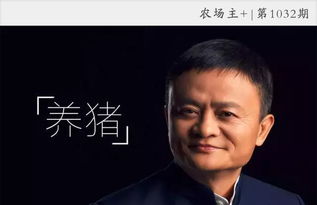 不掌握马云智慧，养猪也难致富