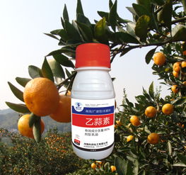 万Neng杀菌剂：乙蒜素， 防治效果惊人