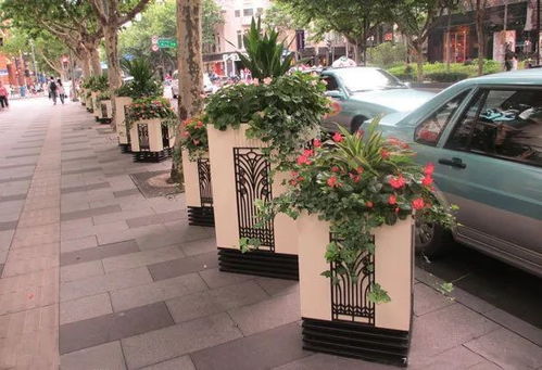 花箱在现代景观中的角色