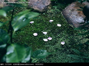 寒潮来袭，三重保温法来帮忙