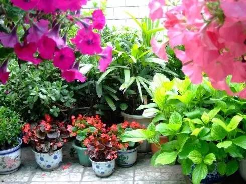 祛风除湿，身体轻松