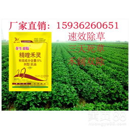 除草剂怎么打呢？