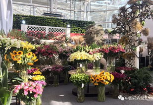 百合花卉小镇：花海中的浪漫婚礼