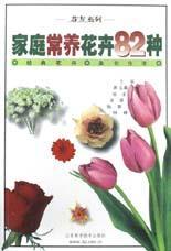 82种花卉，总有一款适合你