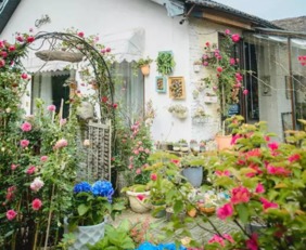 三、柑橘科：香香的花儿