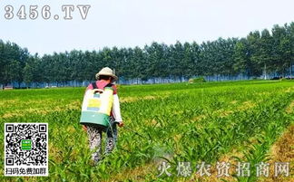 种田人的烦恼， 除草剂的困惑