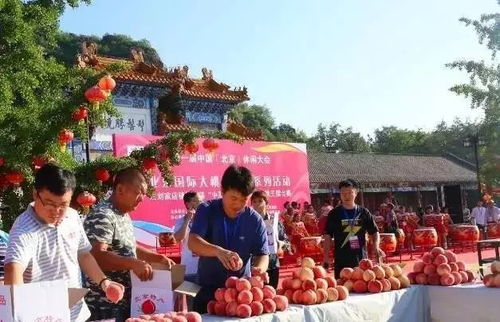 北京平谷国际大桃嘉年华开幕，展示平谷大桃文化魅力