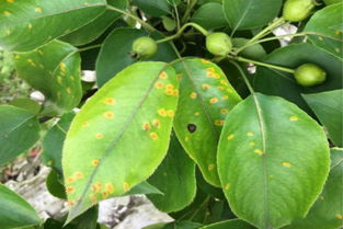 治疗效果，期待中