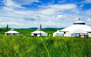 灾后重建的数据显示