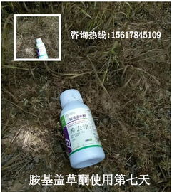 听说有个神奇的东西叫“除草剂”