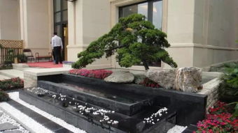 血泪教训：南京王先生轻信