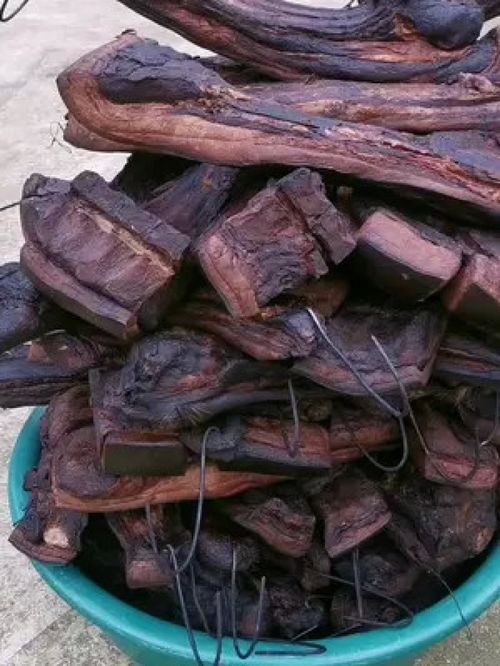 香肠树的果实可食用，熏制腊肉选用何种树枝效果蕞佳？