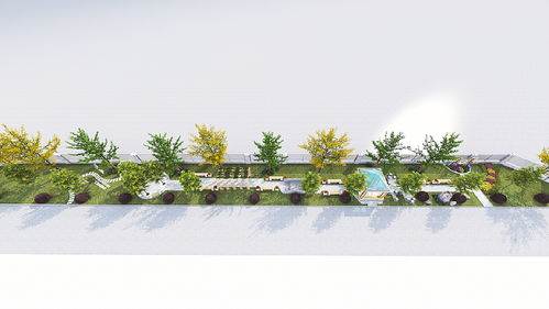 五、 调整植物配置密度和空间布局