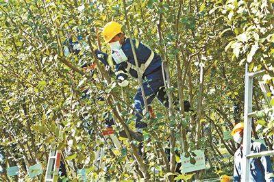 专业人才短缺：人才招聘困难