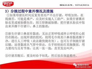 夏季母猪管理及疾病防治技术优化
