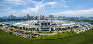 江永茶油苗场：贵港茶油基地，品质卓越，服务至上！