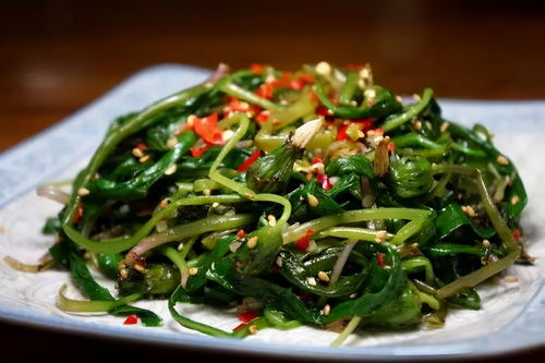 蒲公英叶子，除了凉拌