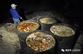 地沟油伪装成食用动物油，欺骗消费者
