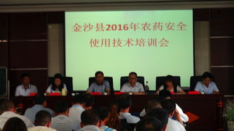 培训培训， 平安Zui重要