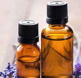 1. 选择优质的薰衣草籽