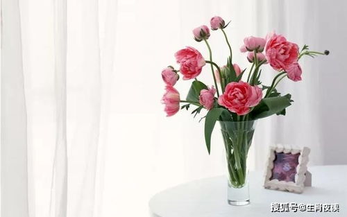 新手开店， 花卉有种子