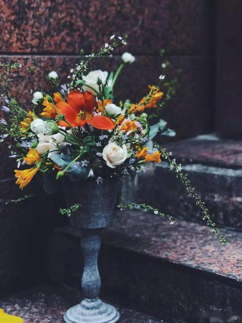 为何某些花儿不宜入花瓶？来瞧瞧这些美图！