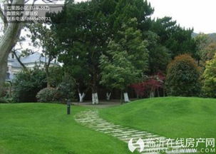 生物滞留设施设计植物选择