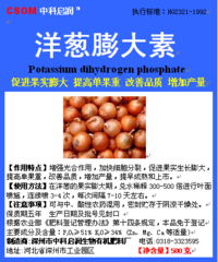 洋葱成长记，幸福的过程